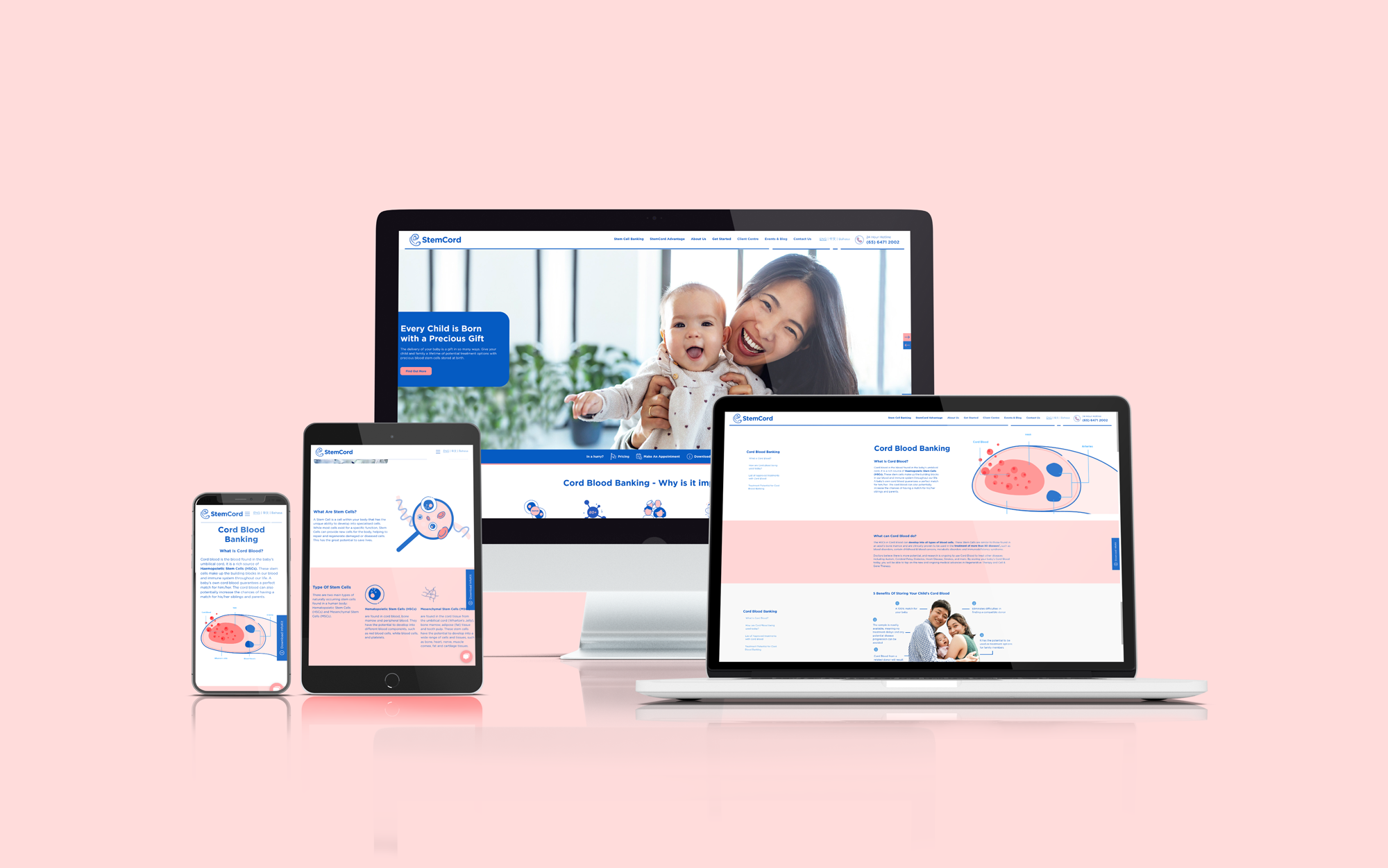 StemCord website shown across devices — desktop, tablet, mobile