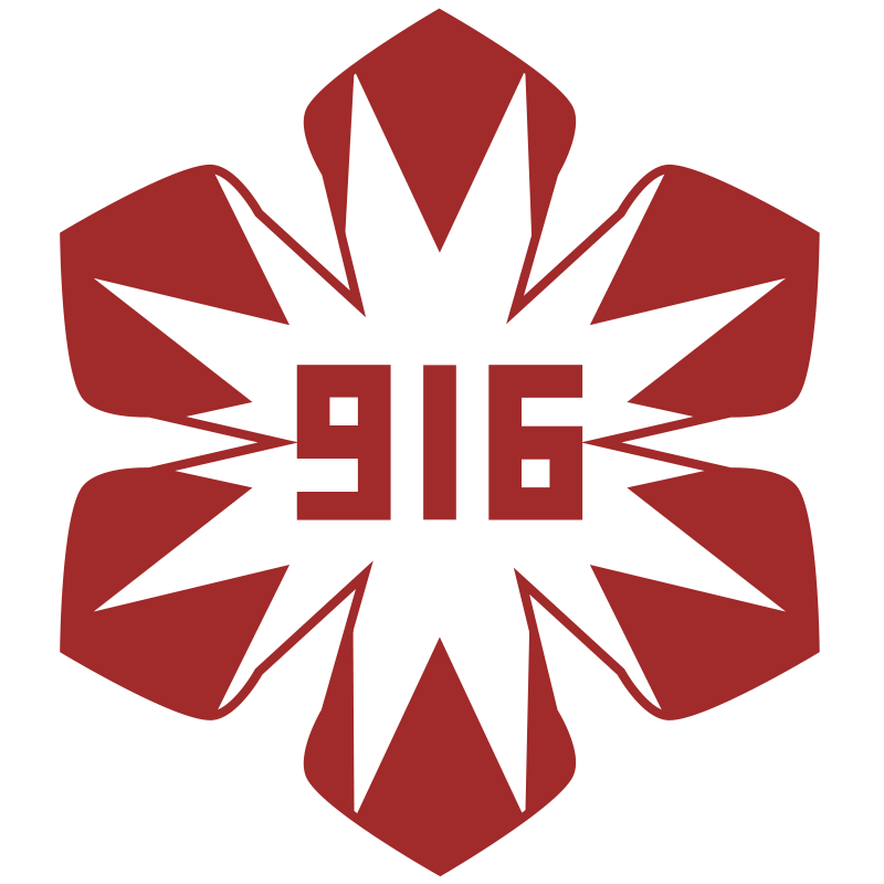 916 Apparel final selected logo — 14-pointed star with 916 logotype