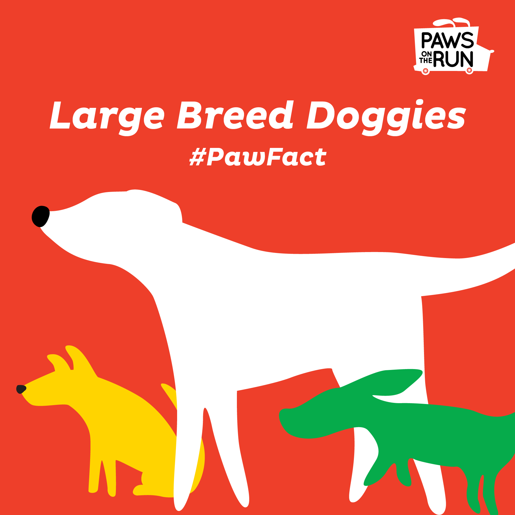 Paw fact — red image with illustrated dogs of all sizes