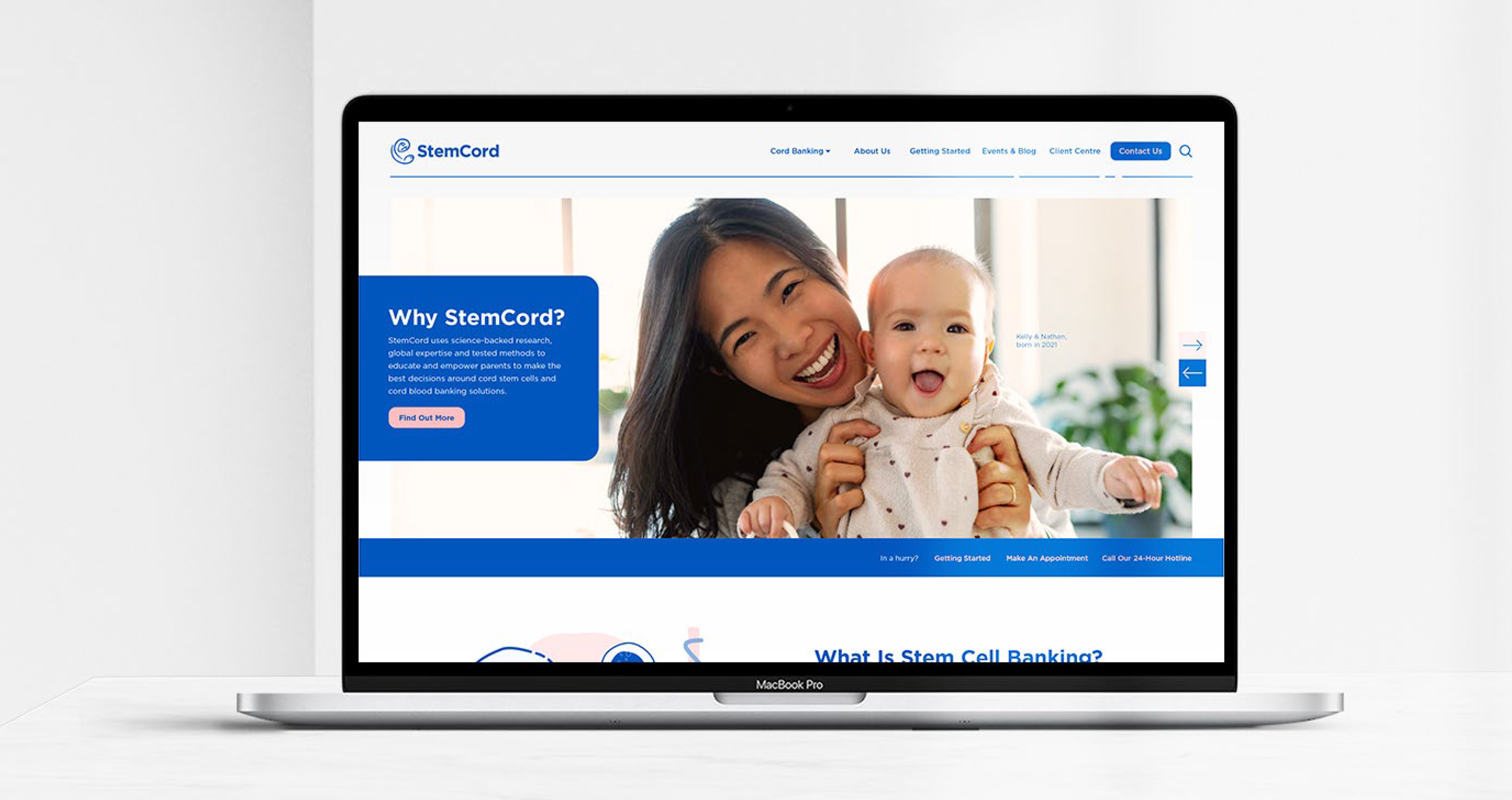 StemCord website wireframe — homepage